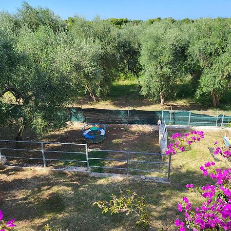 Residence Dolce Far Niente Vieste Luaran gambar