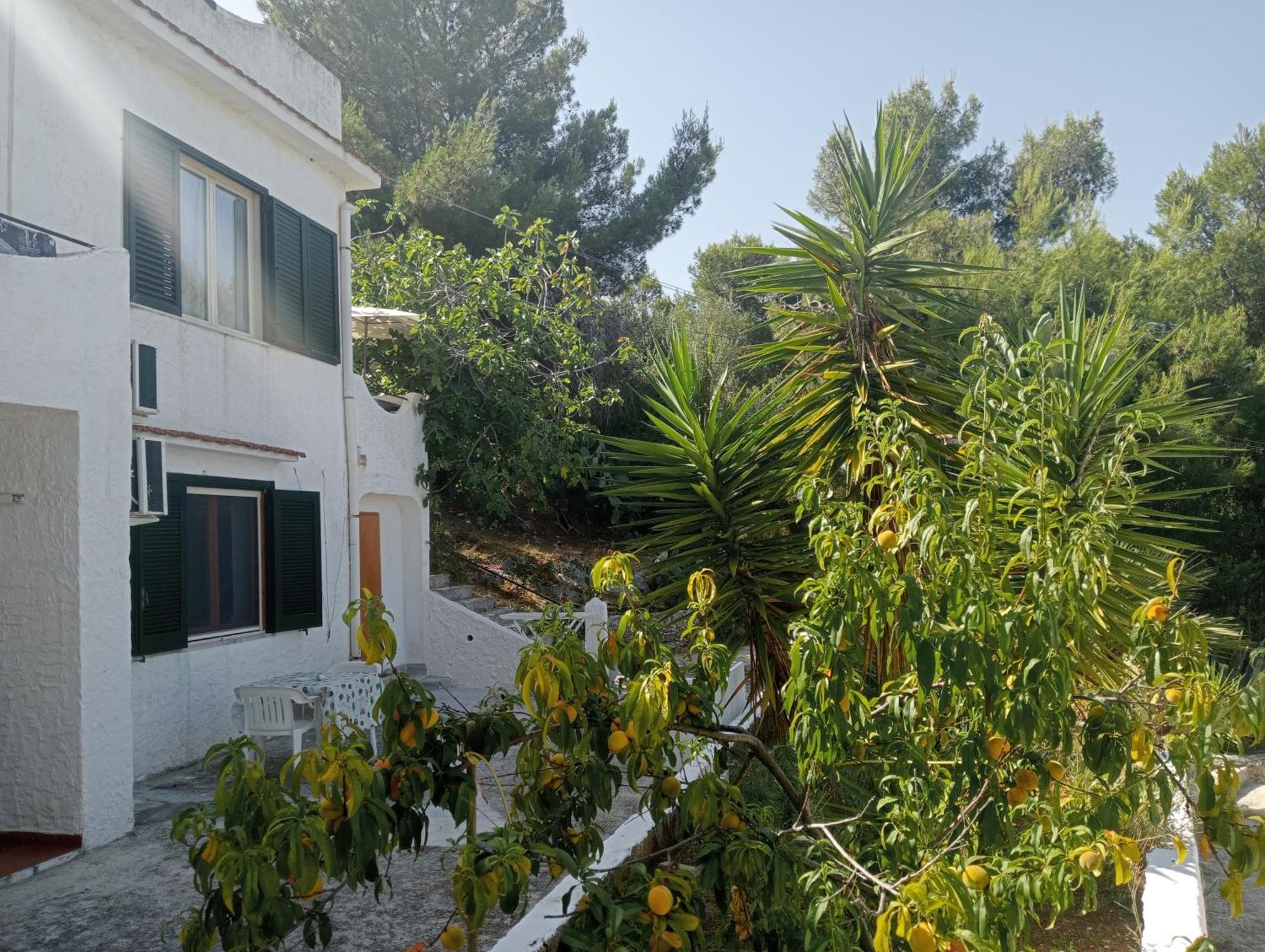 Residence Dolce Far Niente Vieste Luaran gambar