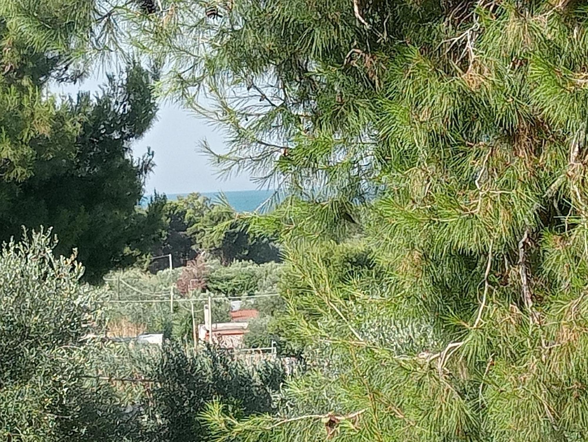 Residence Dolce Far Niente Vieste Luaran gambar