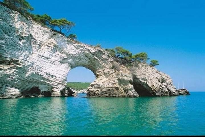 Residence Dolce Far Niente Vieste Luaran gambar