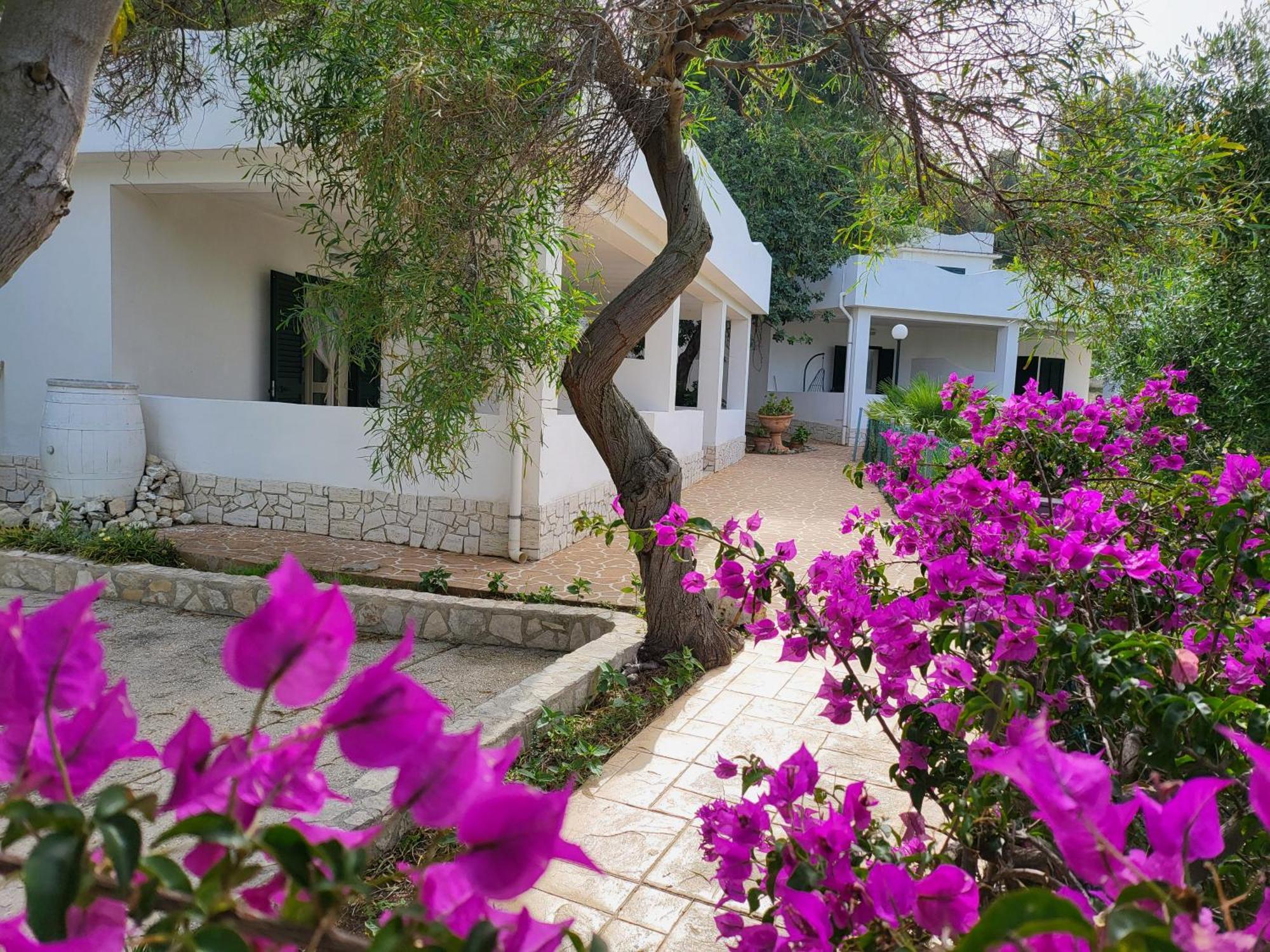 Residence Dolce Far Niente Vieste Luaran gambar